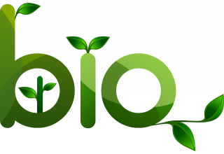 Экологичный тренд: Сумки-Шопперы