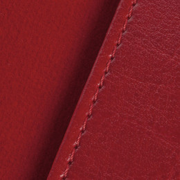 Обложка для паспорта Nebraska, красная