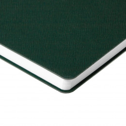 Ежедневник Flexpen Bright, недатированный, зеленый