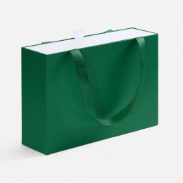 Коробка Regalis, зеленая