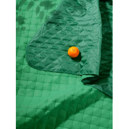 Плед для пикника Soft & Dry, зеленый