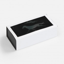 Коробка «Динамика успеха»