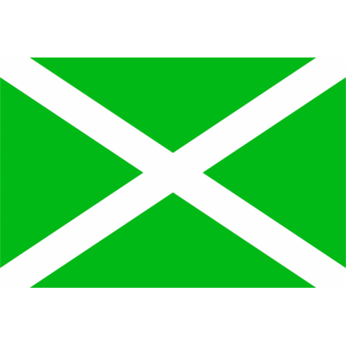 Флаг таможенных органов Российской Федерации (ФТС России)