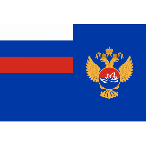 Флаг Министерства Российской Федерации по развитию Дальнего Востока (Минвостокразвития России)