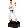 Фигурка литая Каратэ RFST2101 20см (85*22)