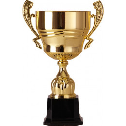 Кубок 2006B (53 см) D-240