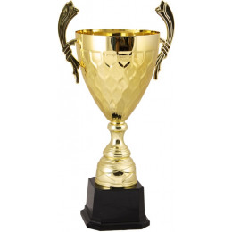 Кубок 2012A (54 см) D-220