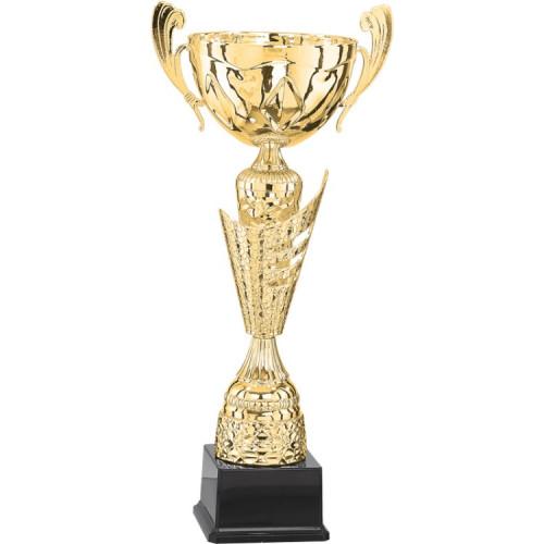 Кубок 4013A (47см) D-160